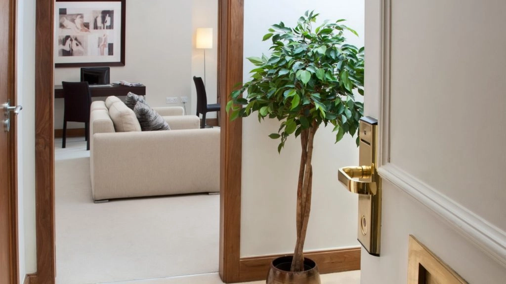 Elegant apartment view with cosy sofa, vibrant indoor plant, and ambient lighting. Ideal for relaxing stays in luxury.